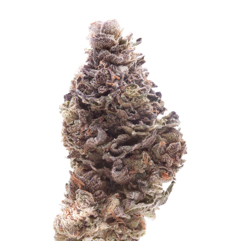 Photograph of product: Buoyant Bob Wounded Warrior Breath Flower (3.5g)