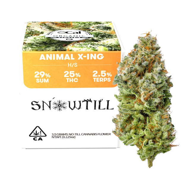 Photograph of product: Animal Crossing - 3.5g