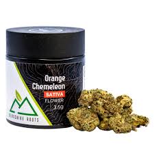 Photograph of Product: Berkshire Roots | Orange Chemeleon | Flower - 3.5g
