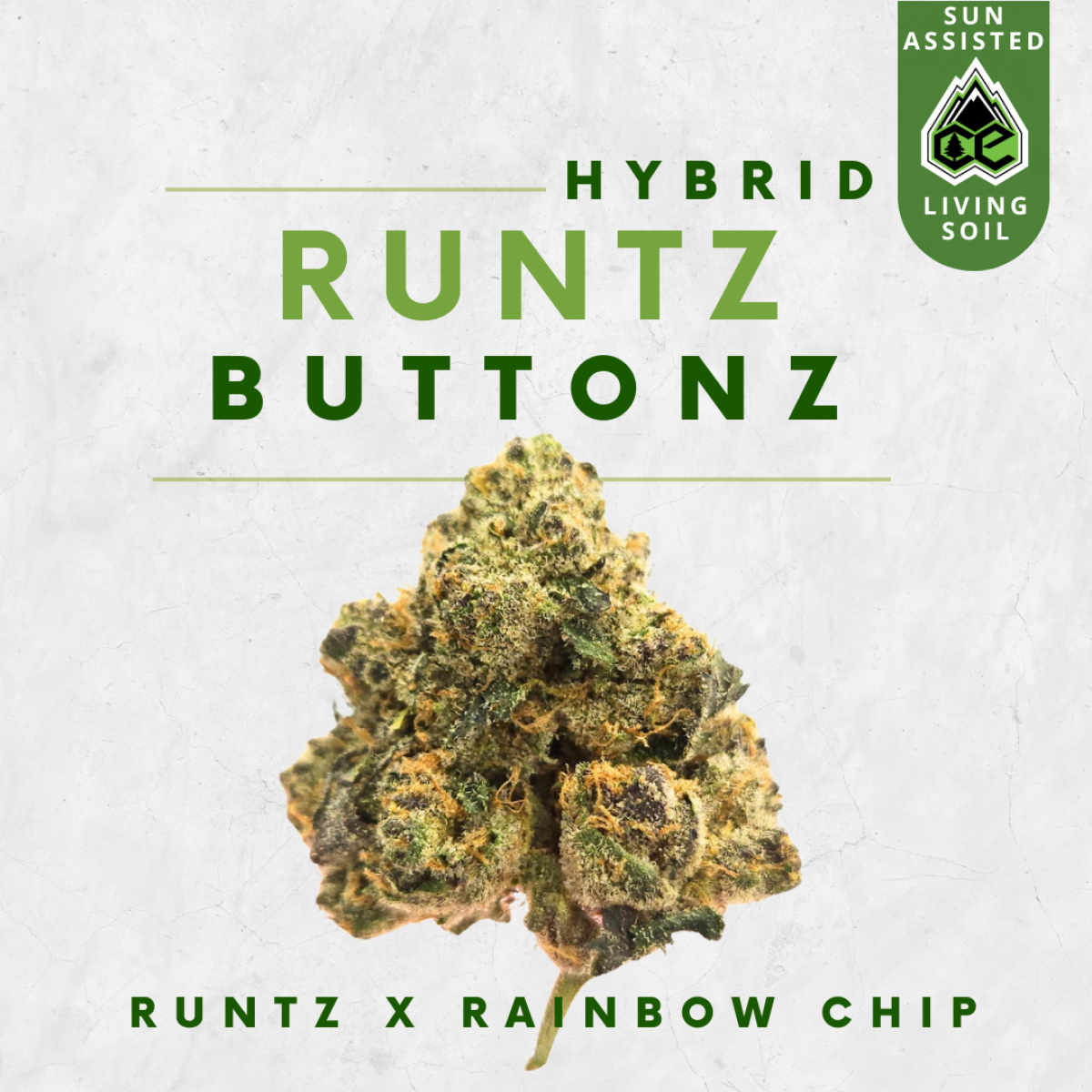 Photograph of product: Runtz Buttonz - 28g