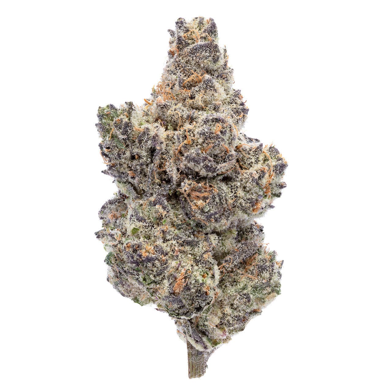 Photograph of product: GLORIOUS | Bulk Flower | GMO X Sherb Crasher - 1g