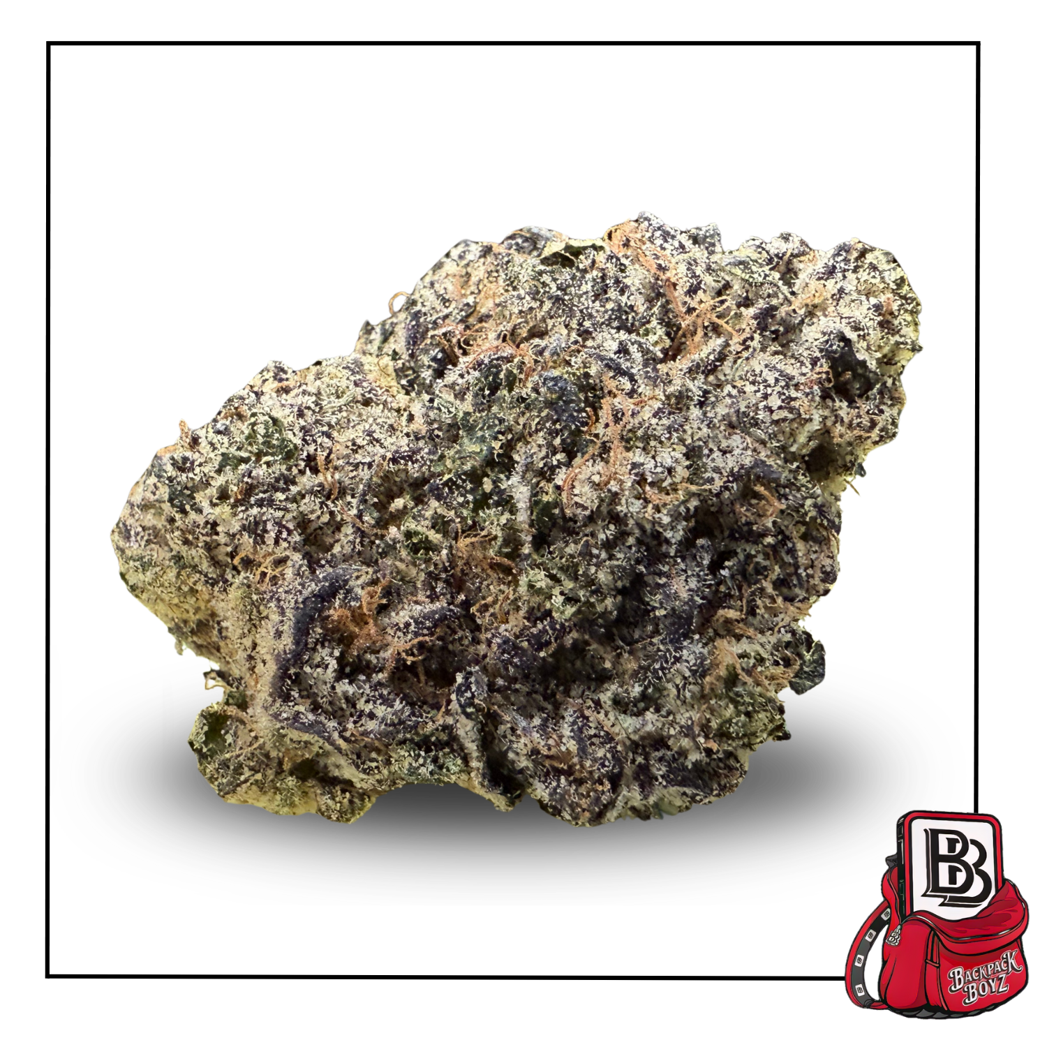 Photograph of product: Ridgeline Lantz - Bulk Flower - 28g