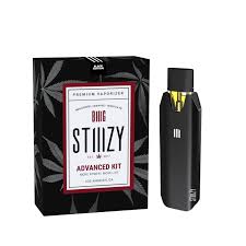 Photograph of product: Stiiizy Biiig Battery Kit Black
