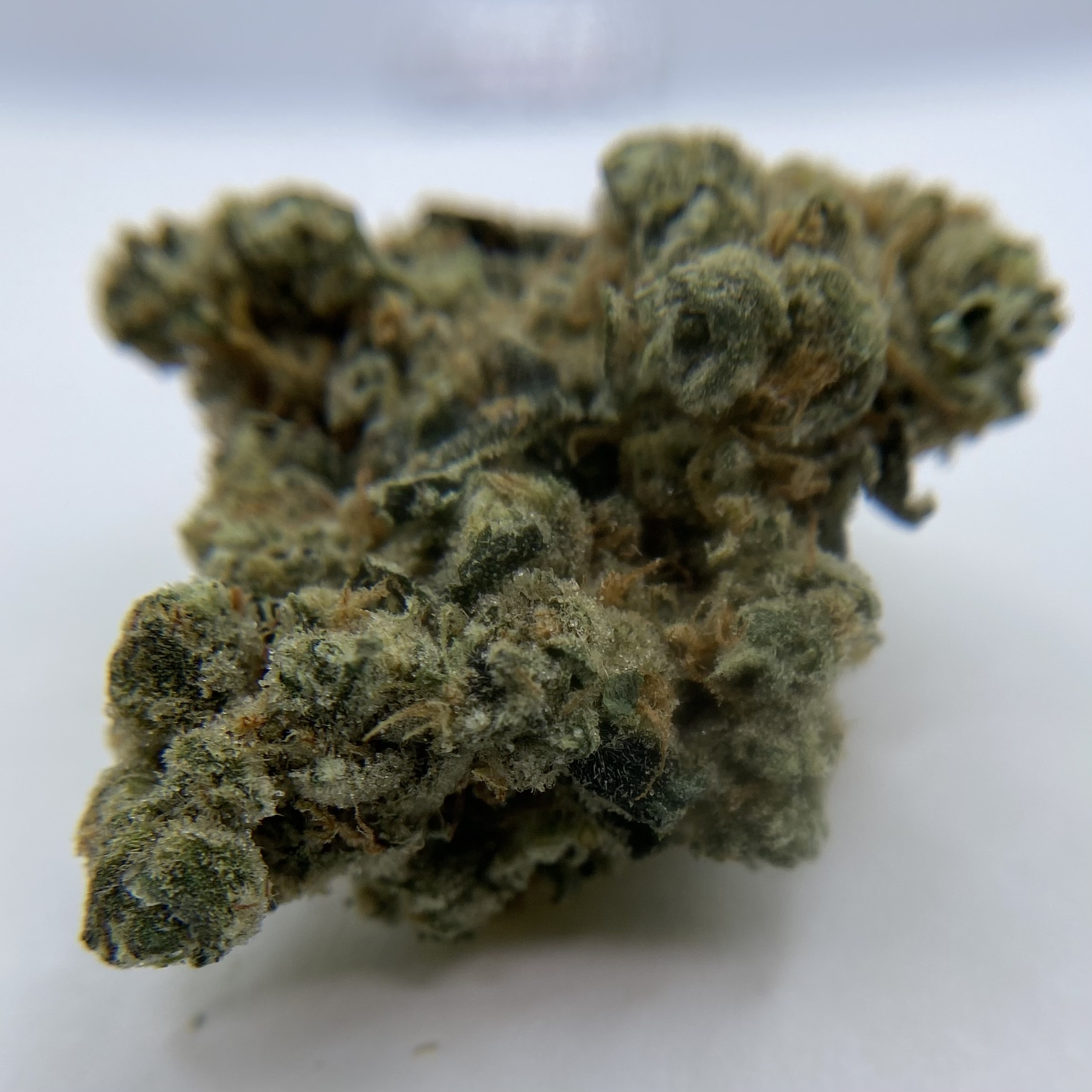 Photograph of product: INDICO Lost Cause Buds - 14g