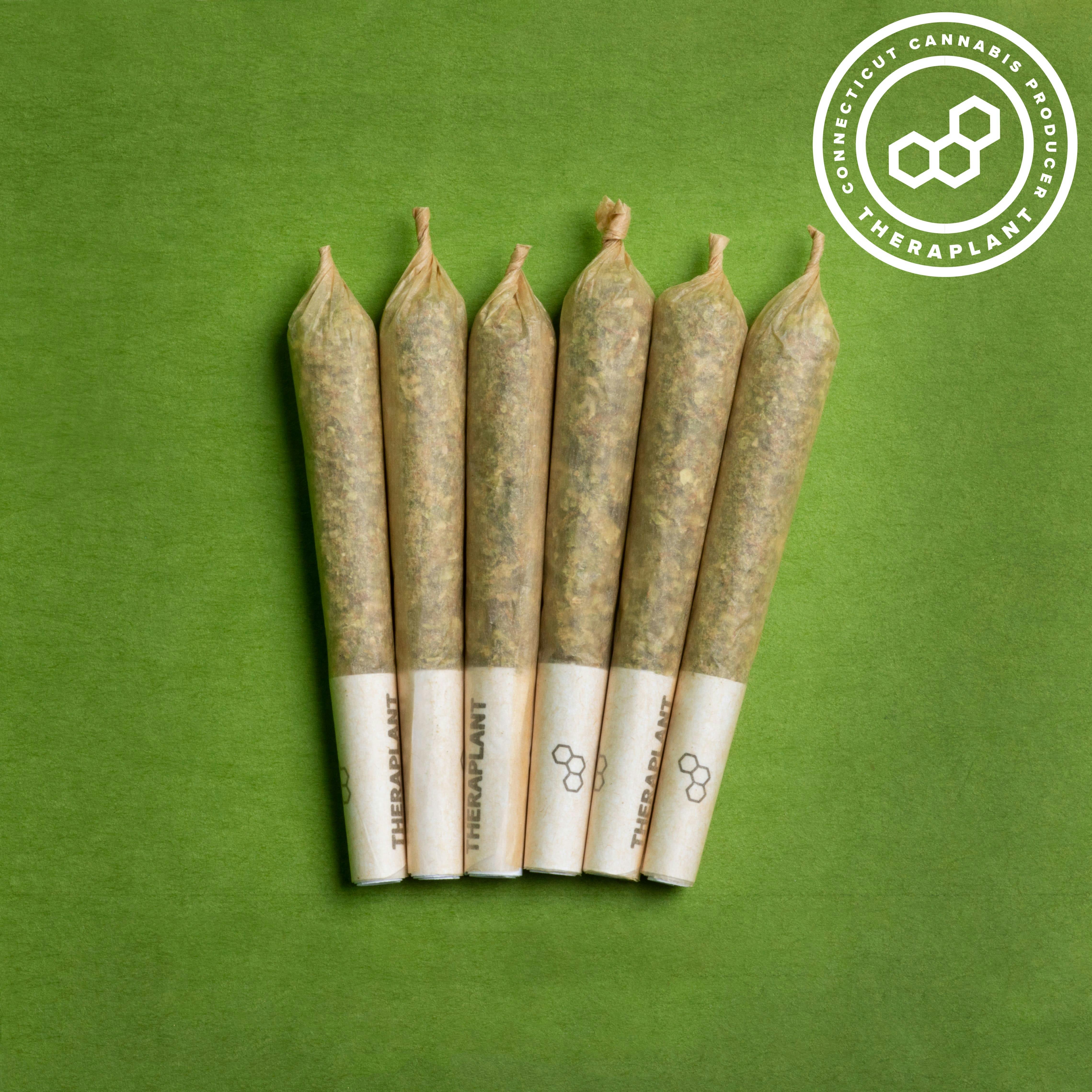 Photograph of product: Theraplant Pre Rolls 6x0.4g Larry's Lato (H) 4563