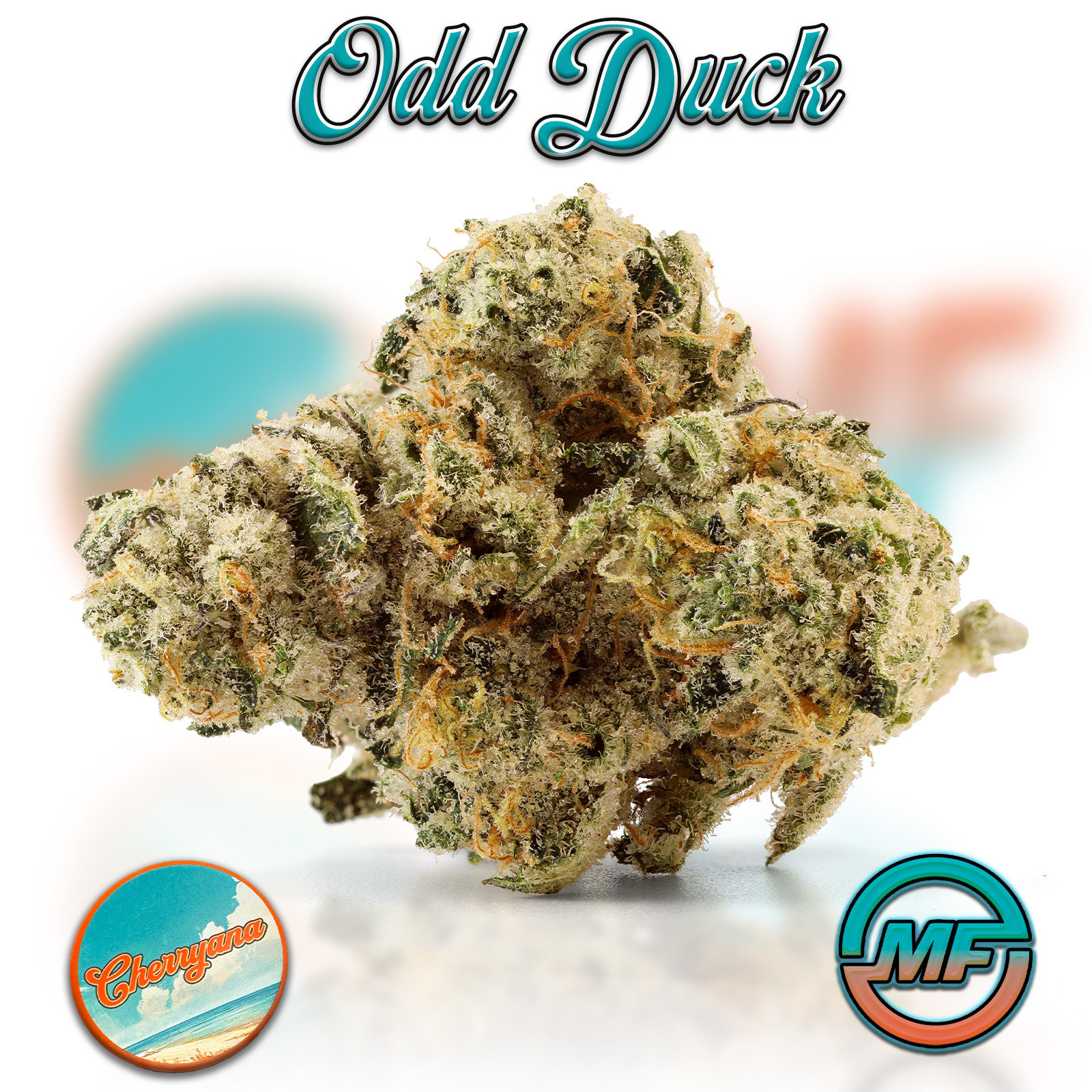 Photograph of product: Odd Duck | Cherryana | Pre-Packaged Half Ounce | 14g