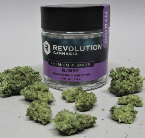 Photograph of product: REVOLUTION - BLUEBERRY (7G) (H)