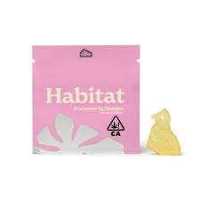 Photograph of product: Champagne Shatter | Habitat