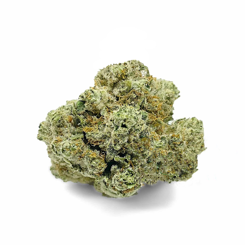 Photograph of product: World Star *Special* (May '25 Harvest) - 3.5g