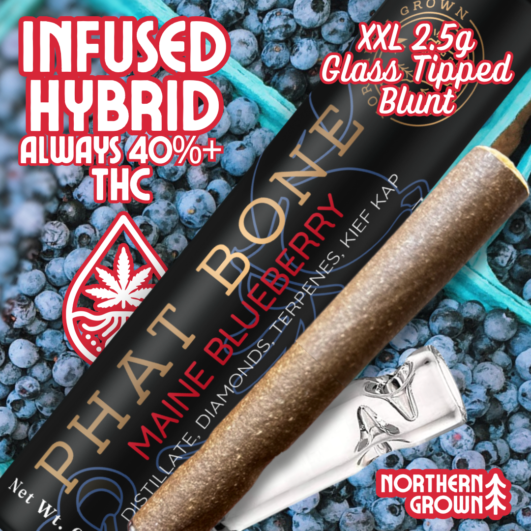 Photograph of product: Phat Bone | Maine Blueberry Infused Diamond and Kief Blunt | 2.5g