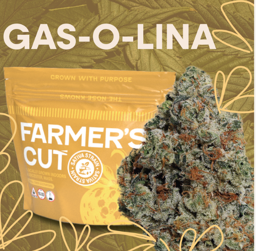 Photograph of product: Gas-O-Lina Strain | Flower 3.5g - Visualize