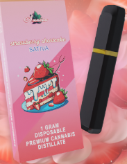 Photograph of product: Strawberry Shortcake | Disposable 1g (Special)