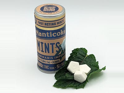 Photograph of product: Nanticoke - Mints 20ct - Edible Mints - 100mg