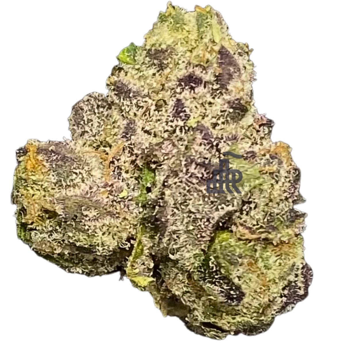 Photograph of product: Benzina (Smalls) | Deli Style | Tier Three - 28g