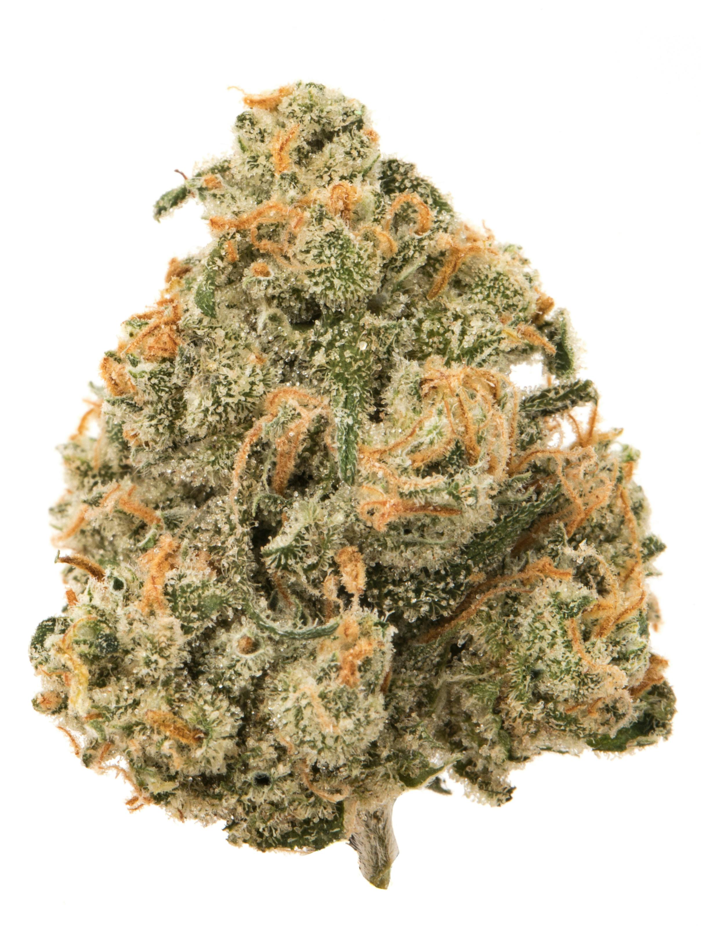 Photograph of product: XJ-13