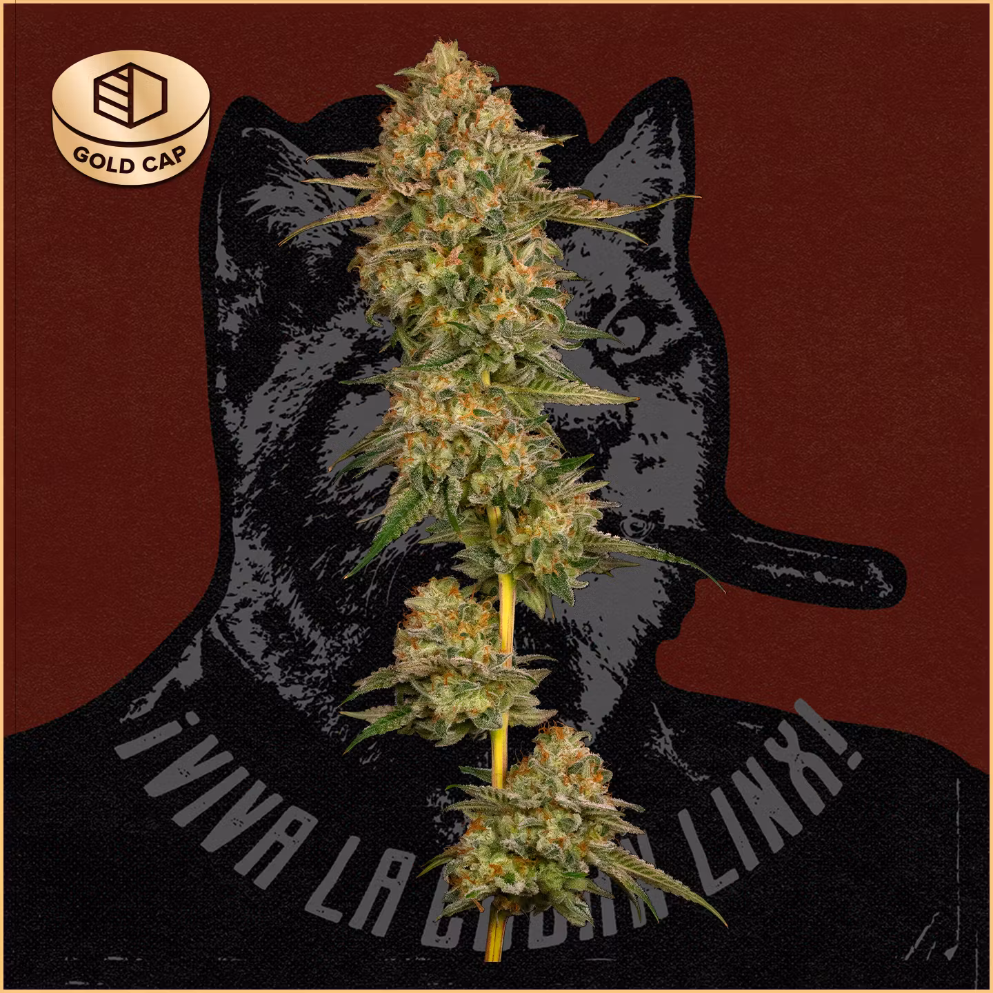 Photograph of product: Cuban Linx - 3.5g