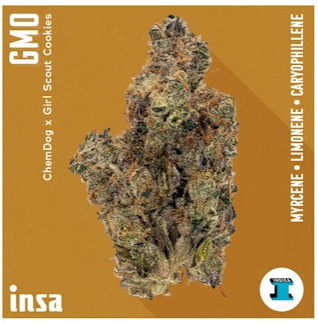 Photograph of product: GMO - 3.5g
