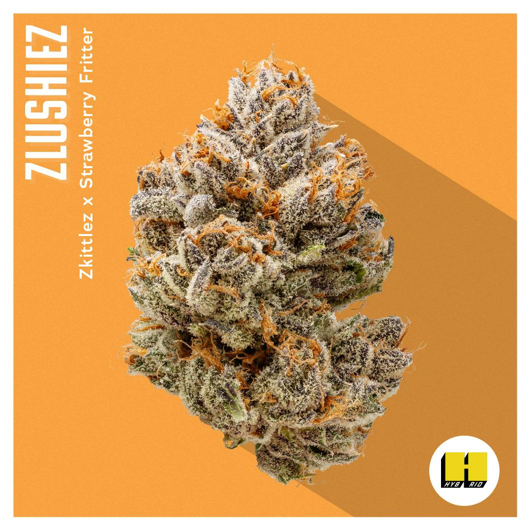 Photograph of product: INSA | Zlushiez | 3.5g