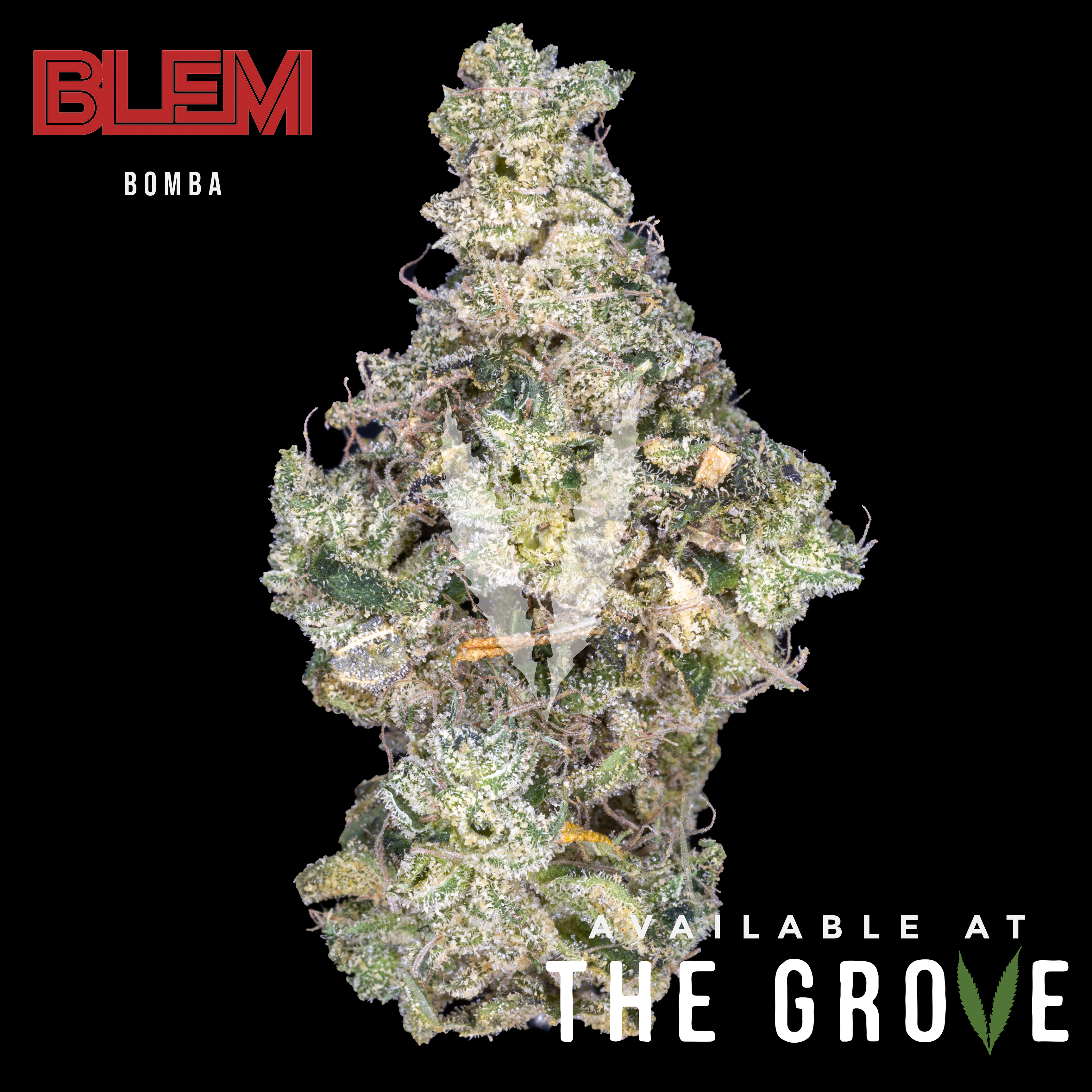 Photograph of product: BLEM | Bomba 1/8th - 3.5g