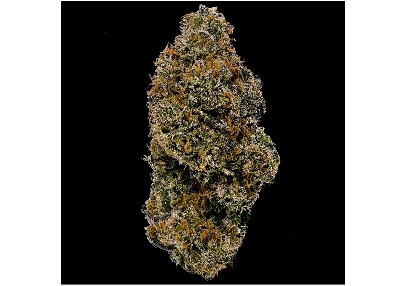 Photograph of product: Cookies | Triple Scoop | Indoor Grown Flower - 3.5g