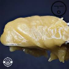 Photograph of product: Albarino Cold Cured Live Rosin | 1g