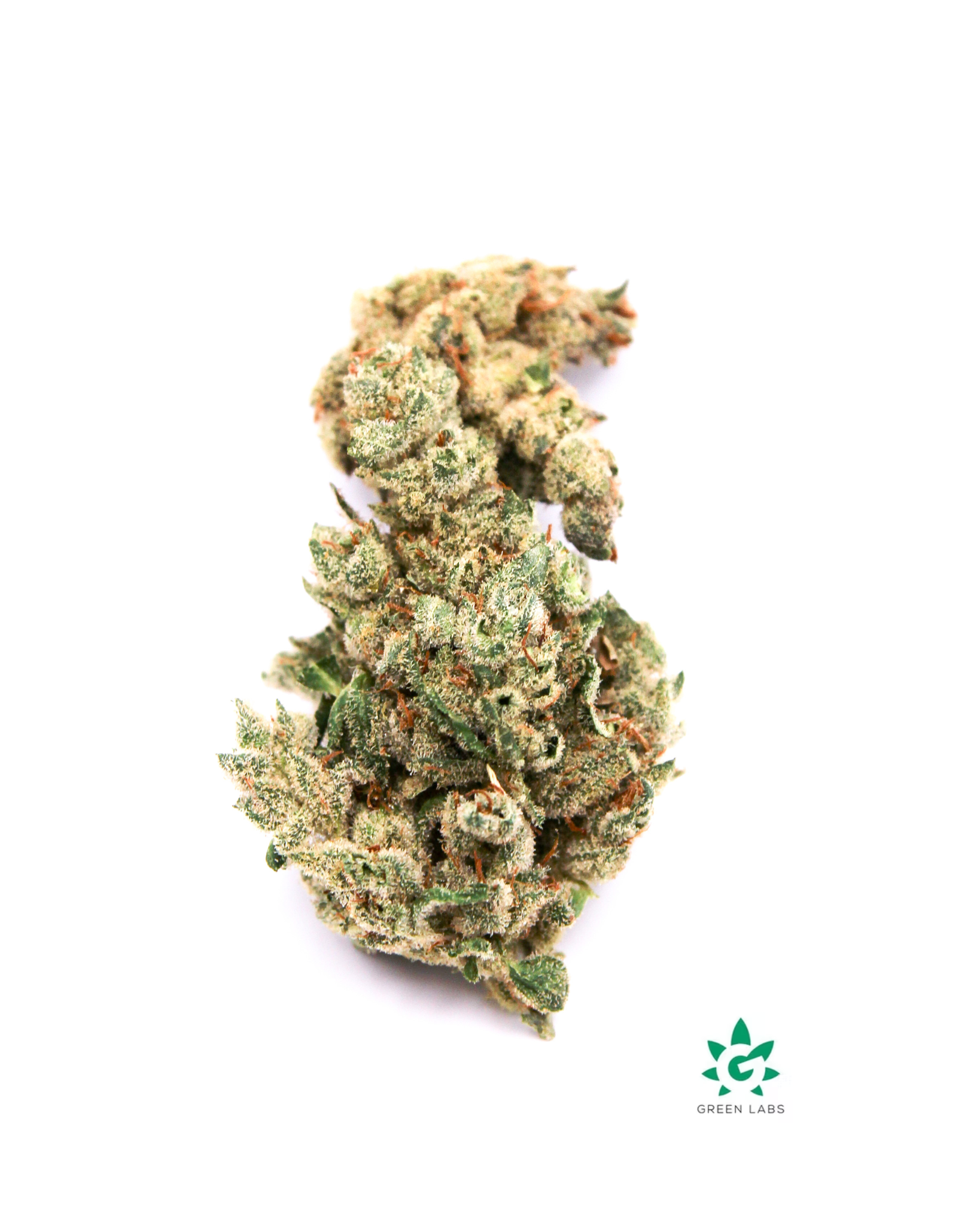 Photograph of product: (REC) Caesar Buds 1 Oz Jar - Dutch Touch Genetics