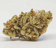 Photograph of product: MP - Apple Cup - pre-packed - 1g