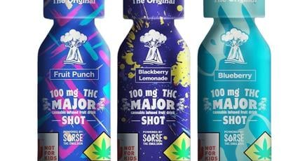 Photograph of product: Fruit Punch Shot | 100mg