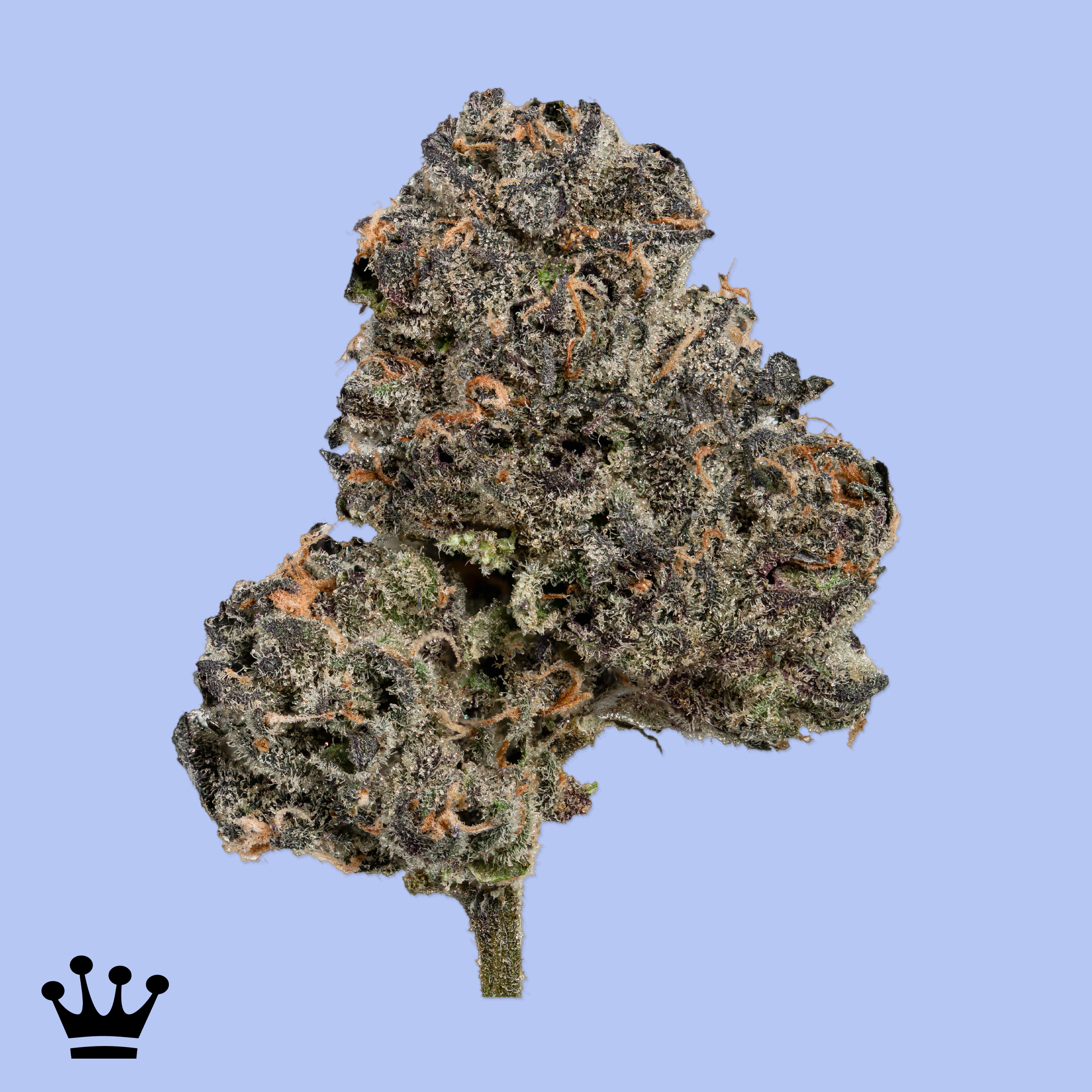 Photograph of Product: Kind & Co // Frosted Banana Bliss - 3.5g