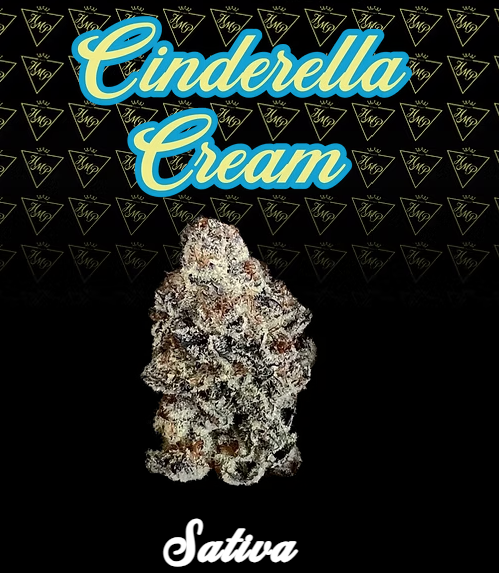 Photograph of product: Cinderella Cream | Flower | 3.5g