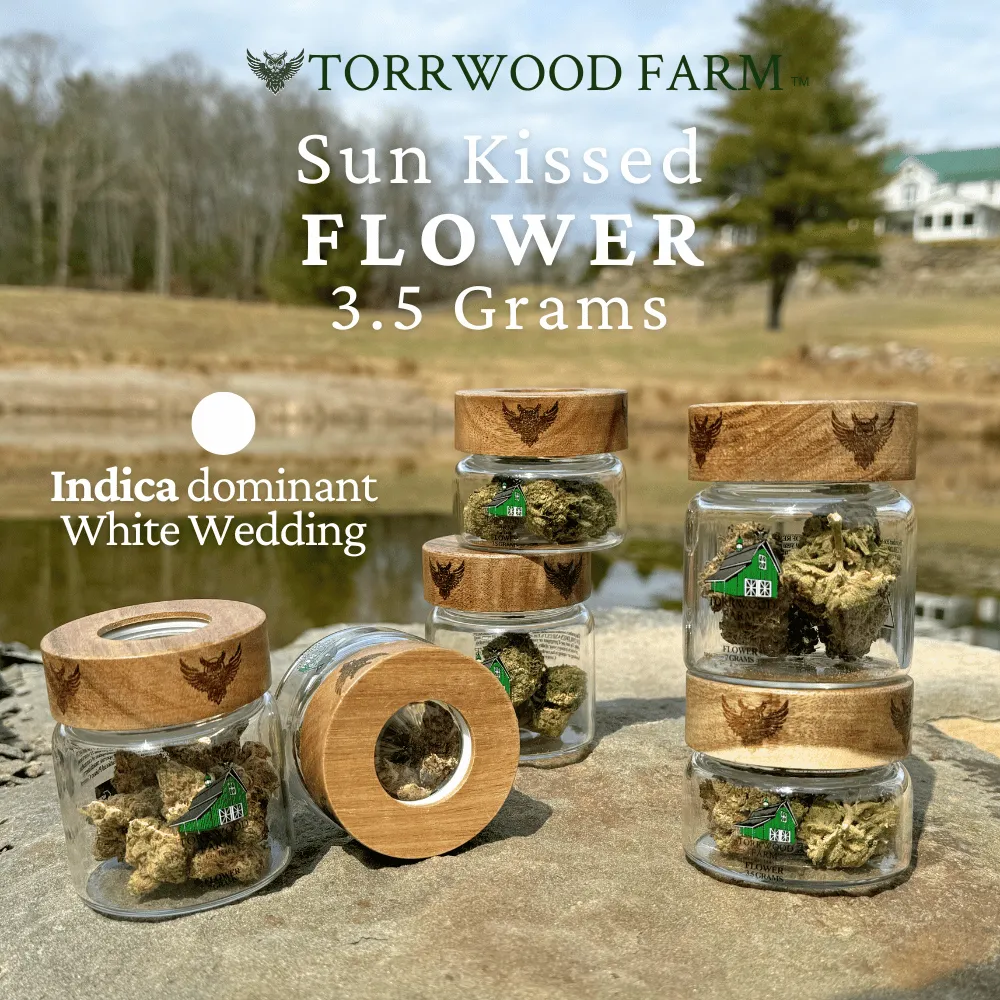 Photograph of product: Torrwood Farm | White Wedding | Flower | Oui'd-Hybrid - 3.5g