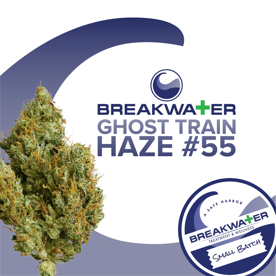 Photograph of product: Breakwater  |  Ghost Train Haze #55  | Flower | Whole Flower - 7g