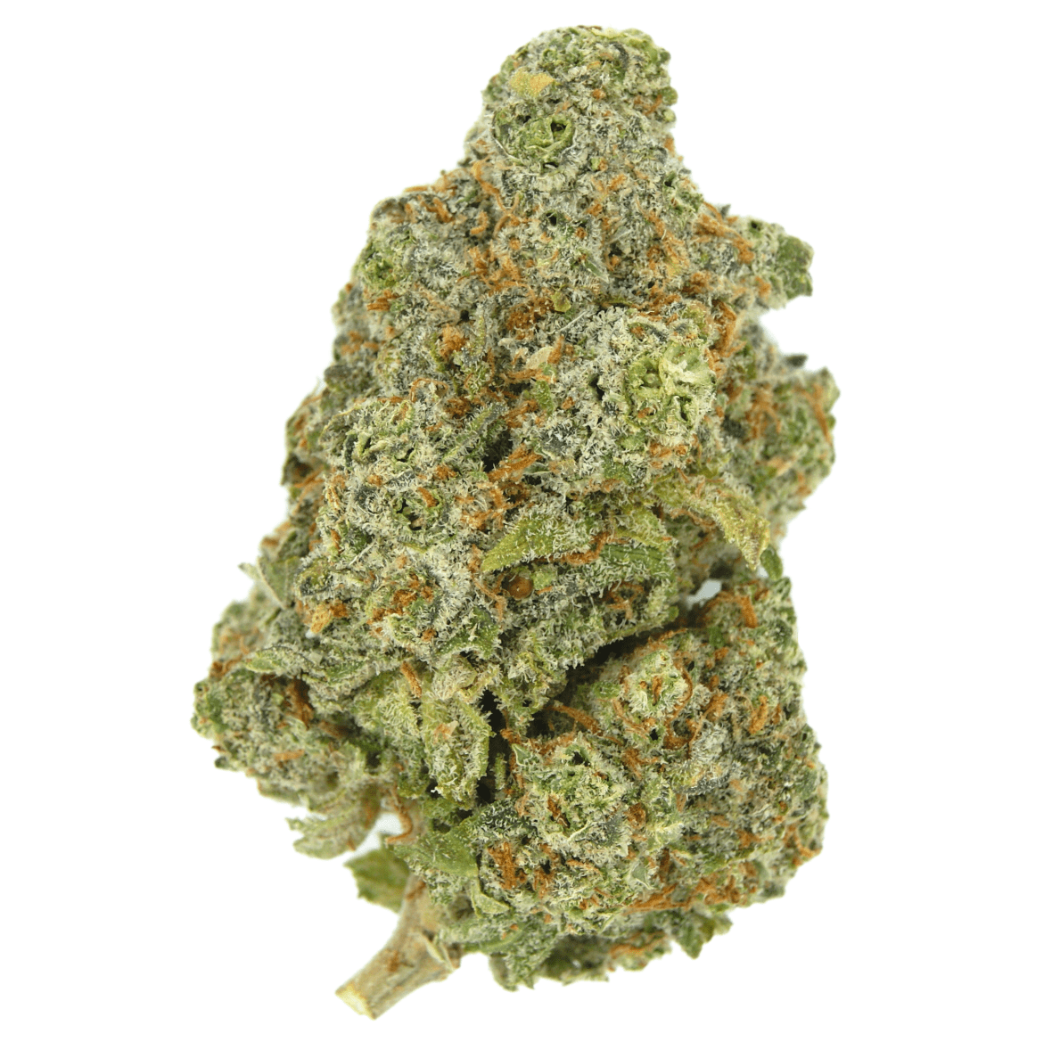 Photograph of product: Slurricane - 043 - 28g