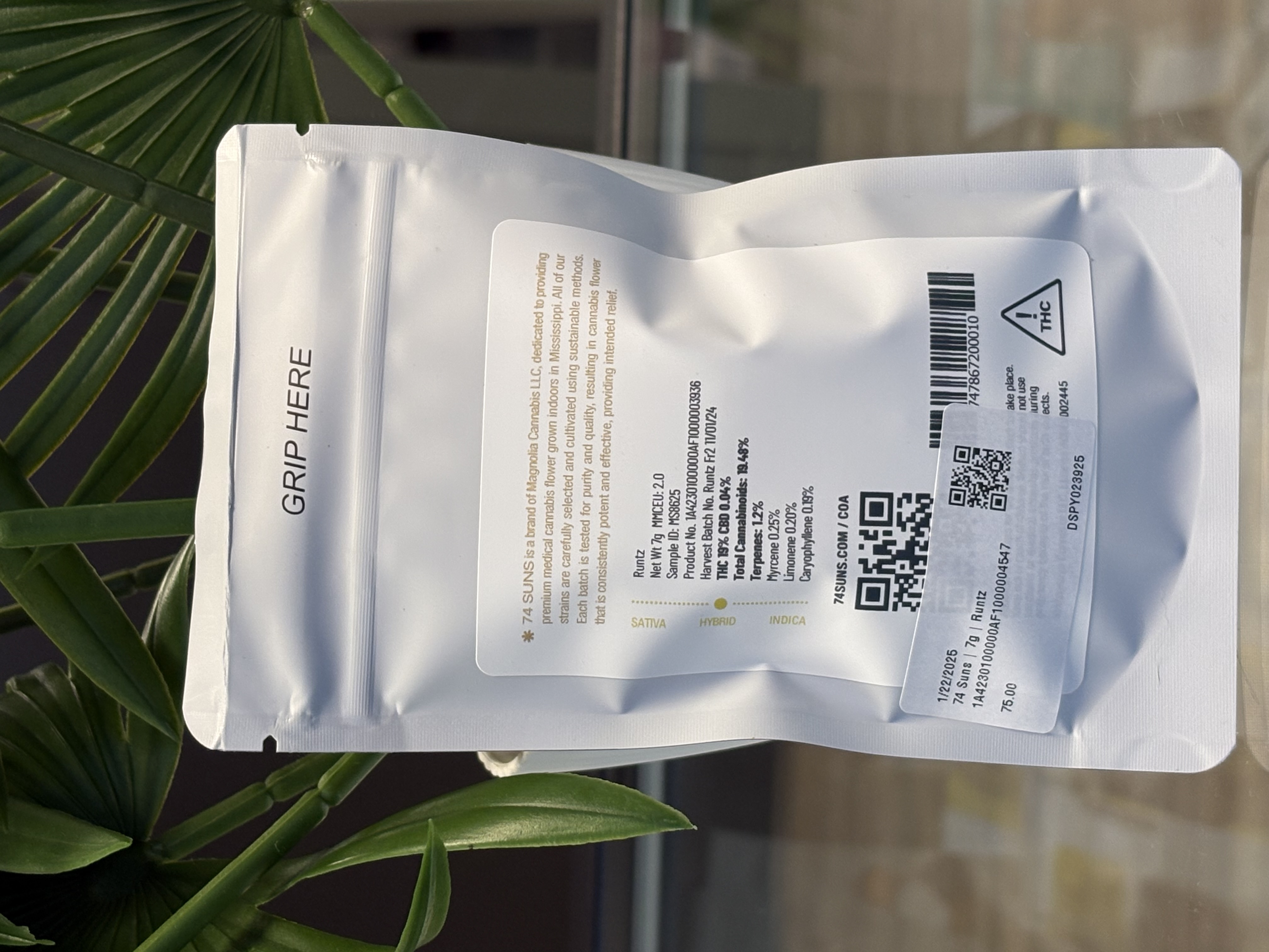 Photograph of product: 74 Suns | 7g | Runtz