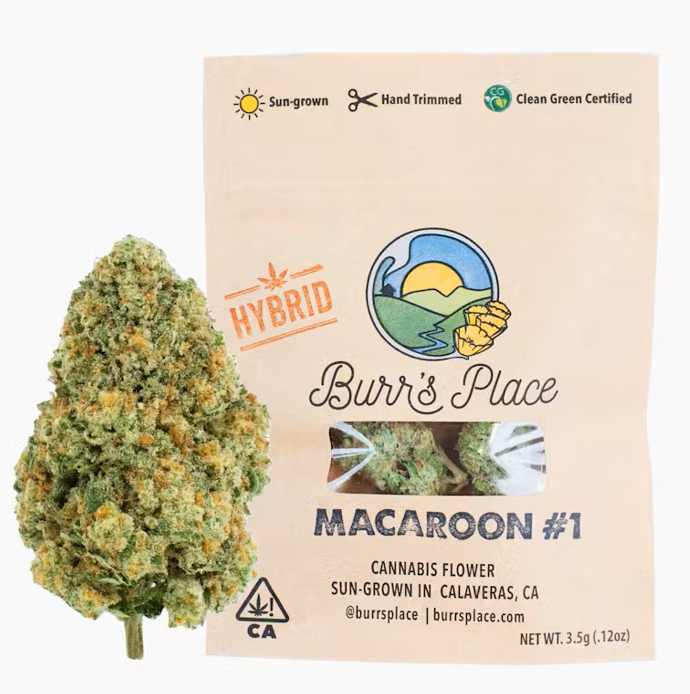 Photograph of product: Macaroon (H) 3.5g 8th - Burr's Place