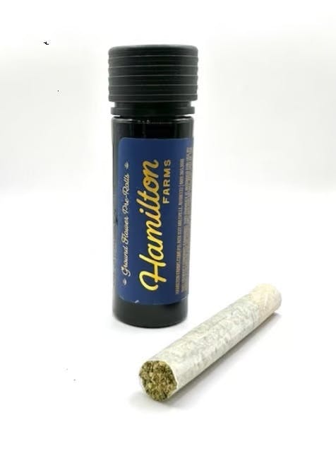 Photograph of product: Monkey Haze #2 - Pre-Roll - 1g