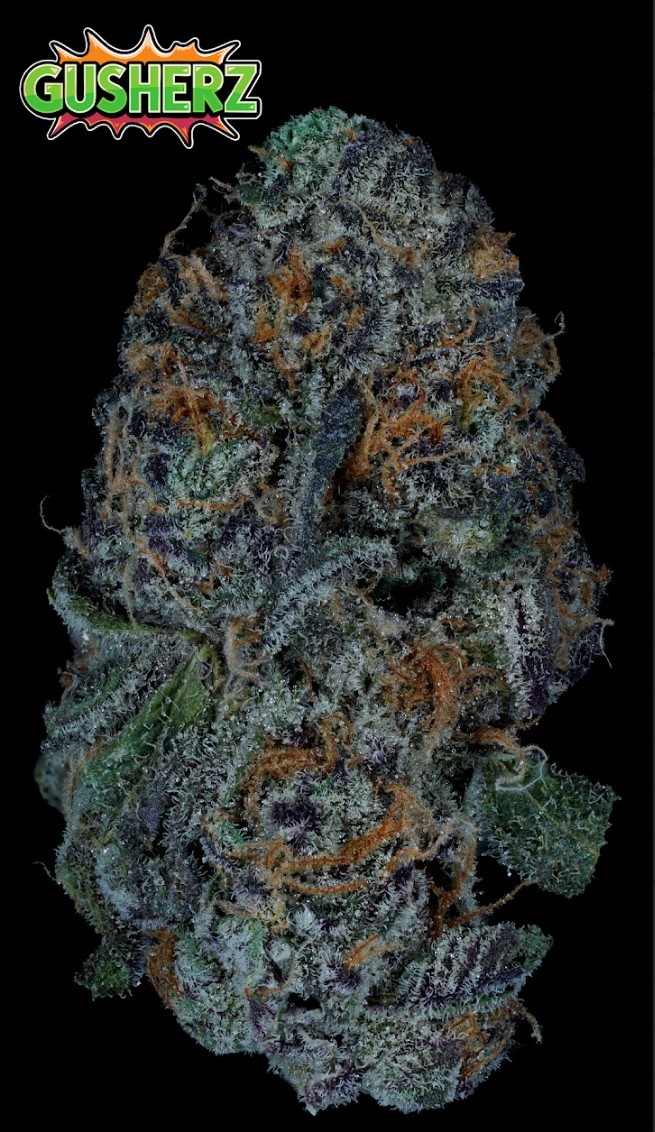Photograph of product: Gusherz | Flower | 3.5g | Hybrid