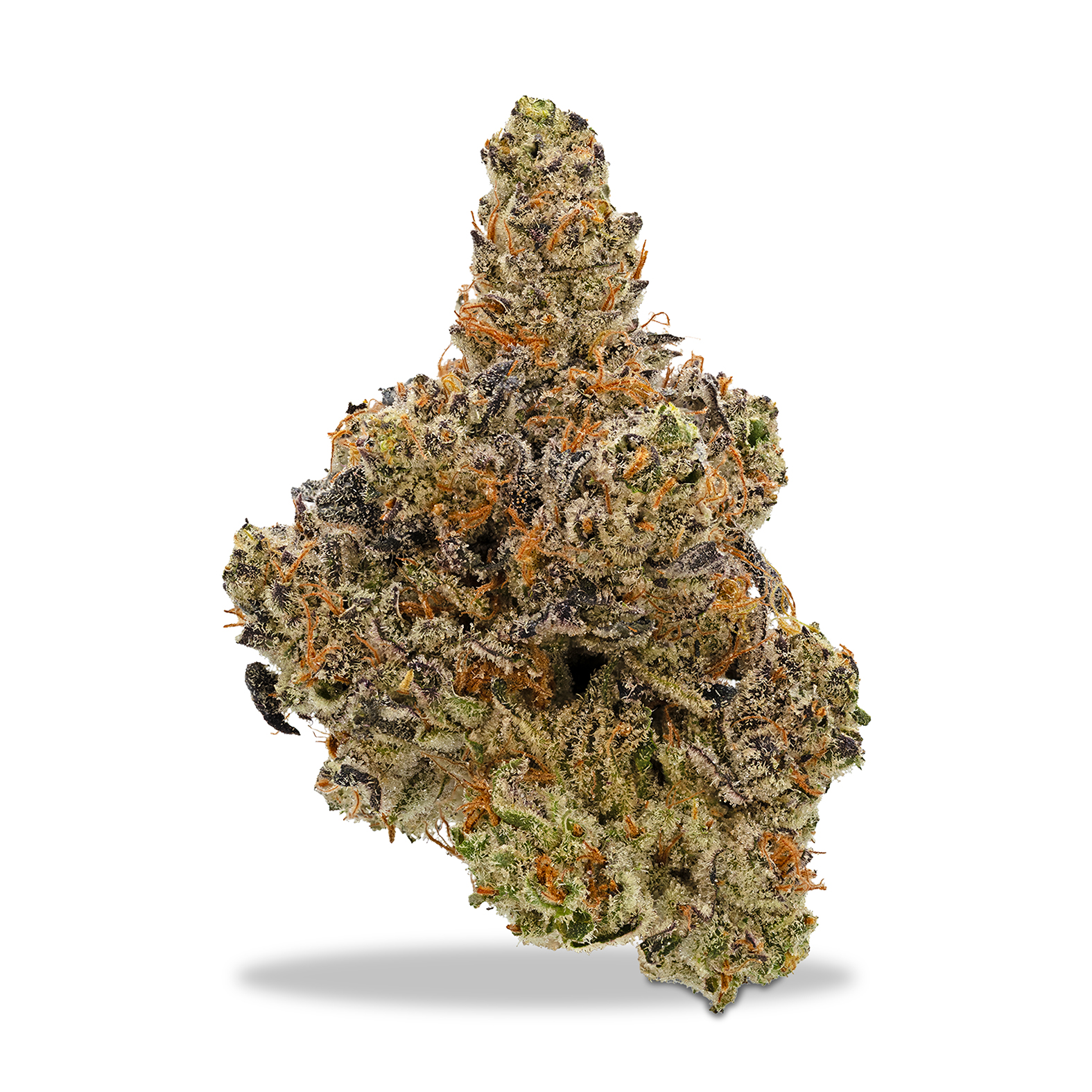 Photograph of product: Eugreen - Georgia GMO - 1g