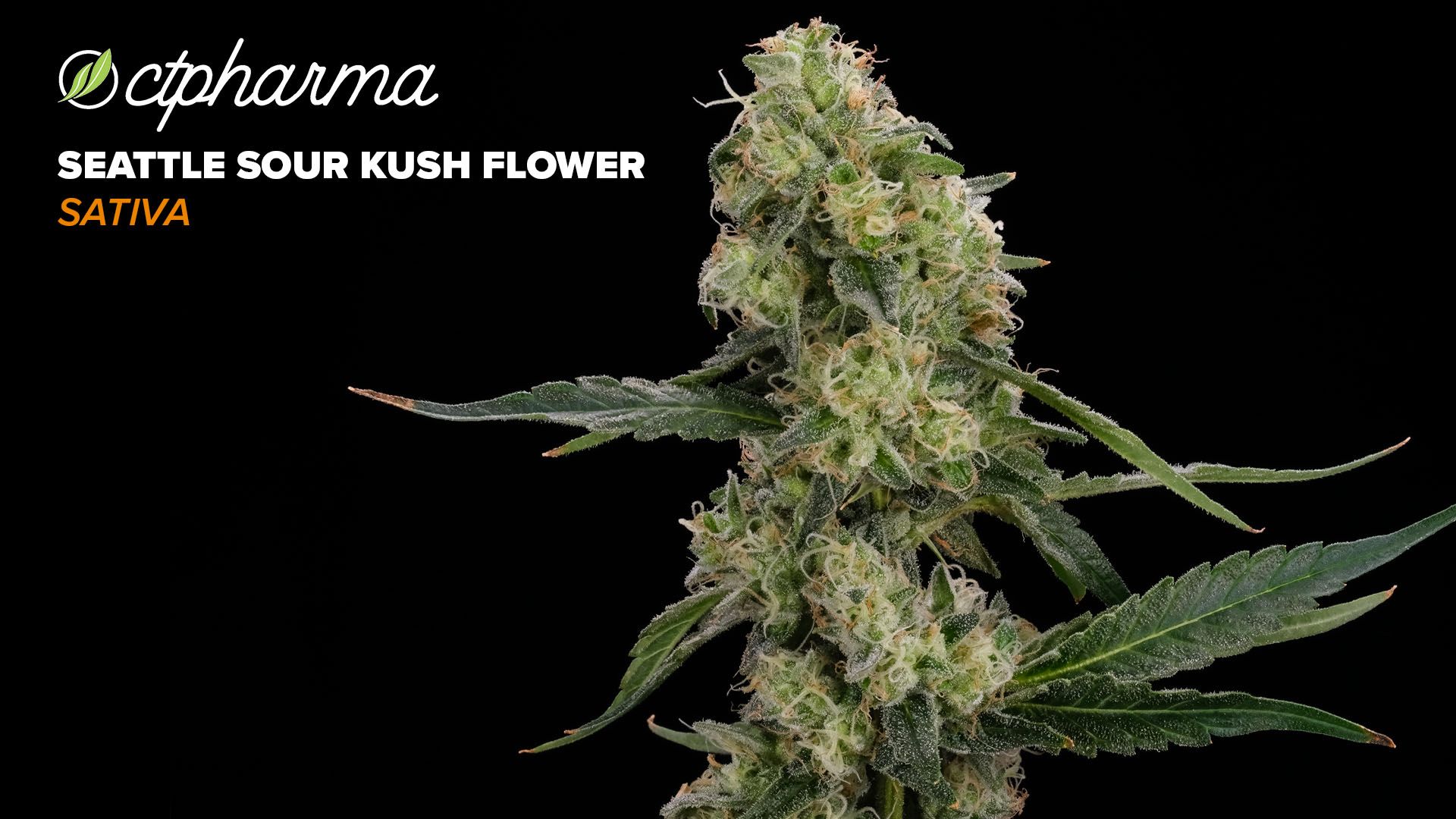 Photograph of product: CTPharma Seattle Sour Kush Whole Flower 24.68% (S) 3.5g - 26139