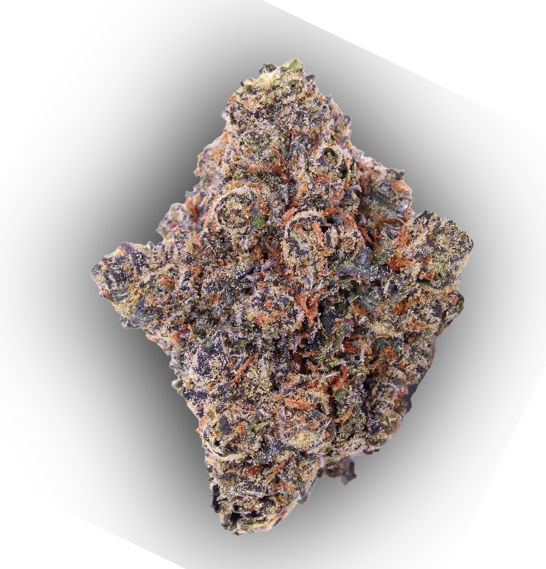 Photograph of product: Green Room Oui'd I Flower I Bolo Runtz - Indoor Hydroponically Grown - 3.5g