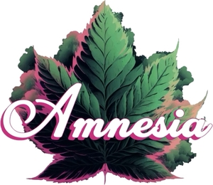 Photograph of product: Amnesia - Cart - White Widow