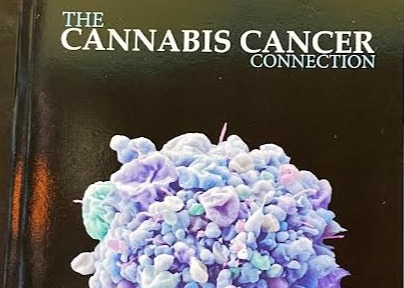 Photograph of product: Books | The Oui'd Cancer Connection