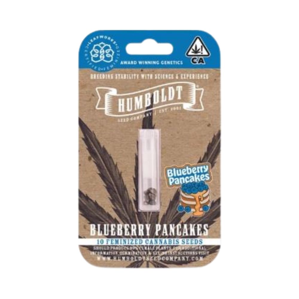 Photograph of product: BLUEBERRY PANCAKES SEEDS 10-PACK (FEMINIZED)