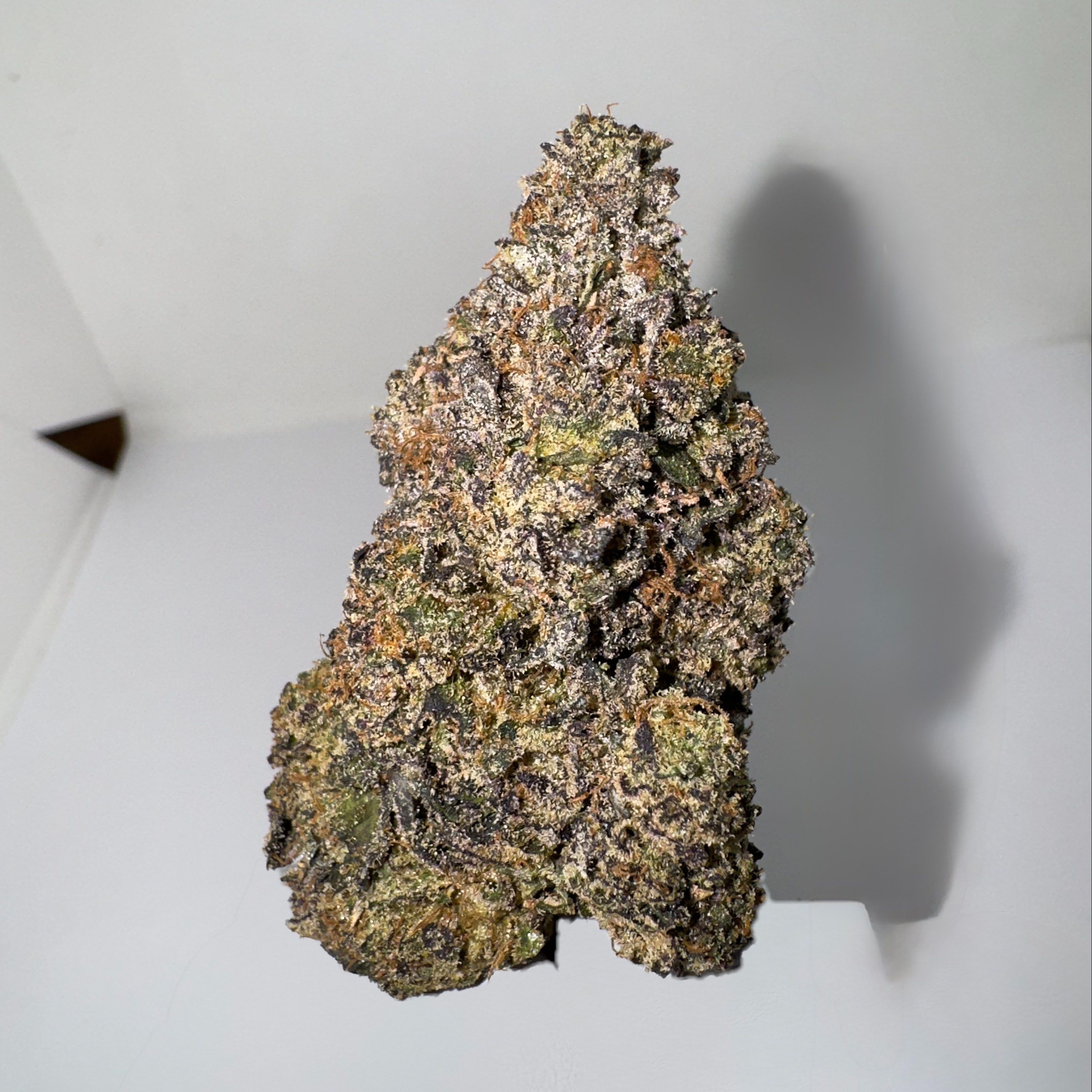 Photograph of product: Jealousy (SunLand) 27% Oui'd 0126