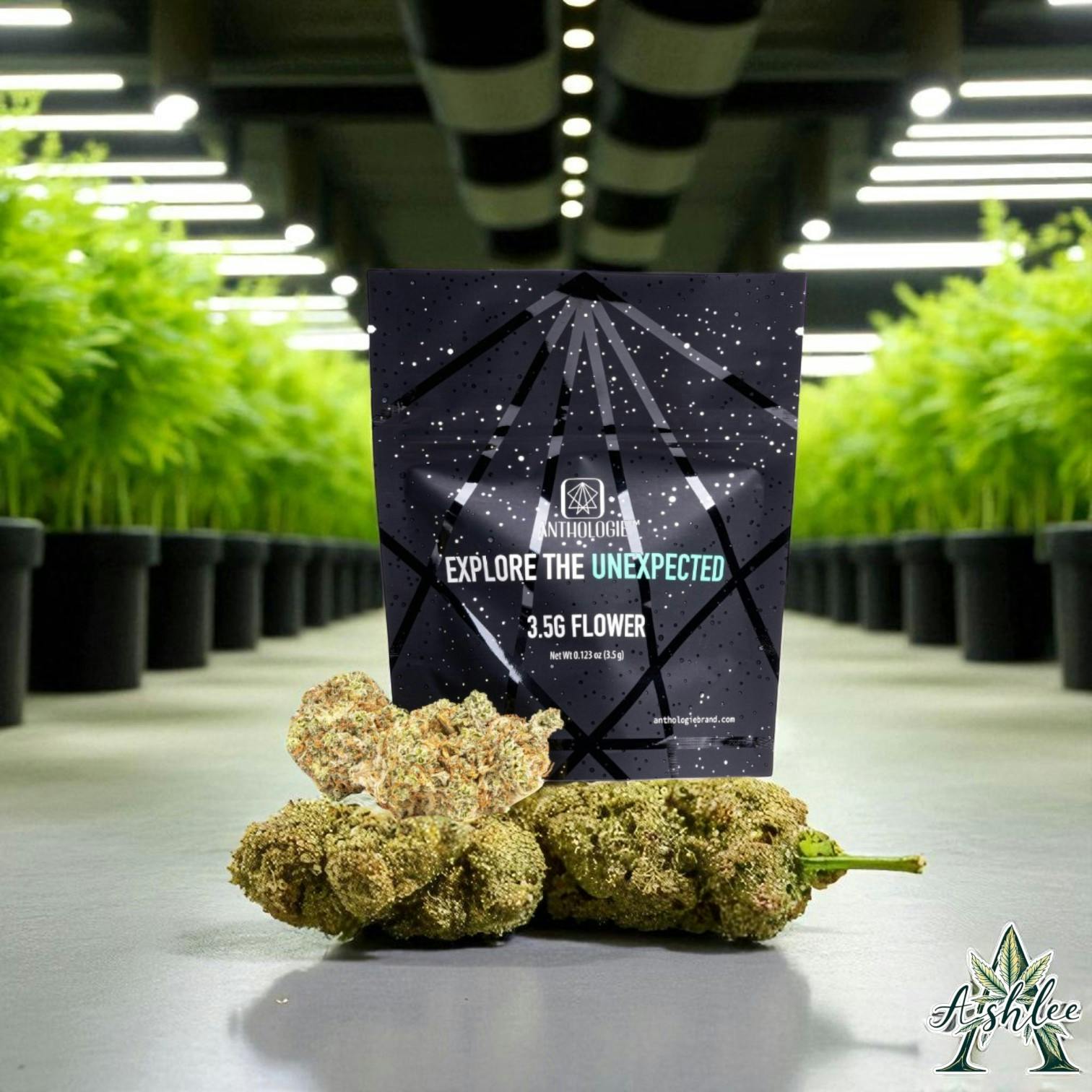Photograph of product: CHEMDAWG KUSH - FLOWER - 3.5 G