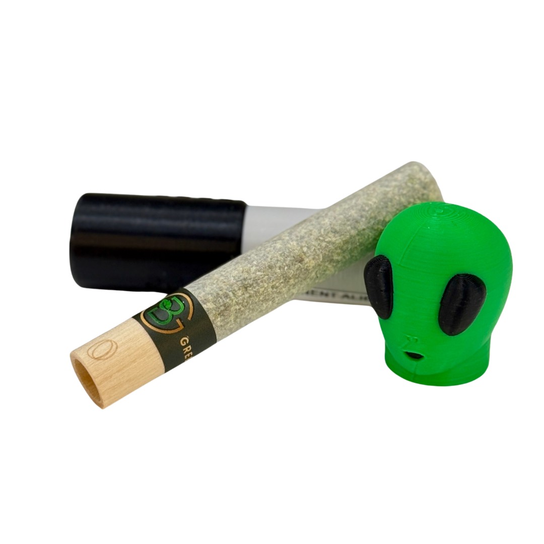 Photograph of product: BEYOND GREEN | BIG HEAD PERMANENT ALIEN