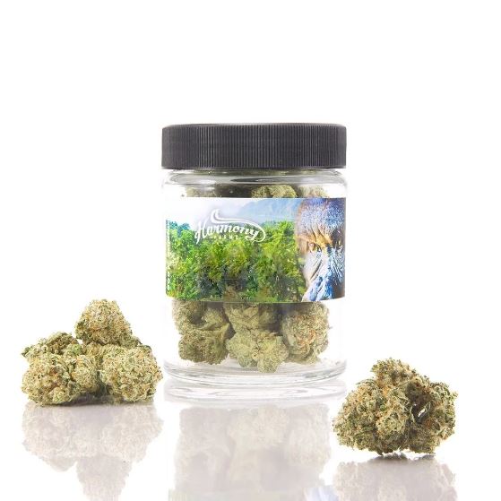 Photograph of product: Ga$ Mintz - 14g