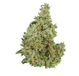 Photograph of product: Cherry AK-47 -3.5g || Grow West