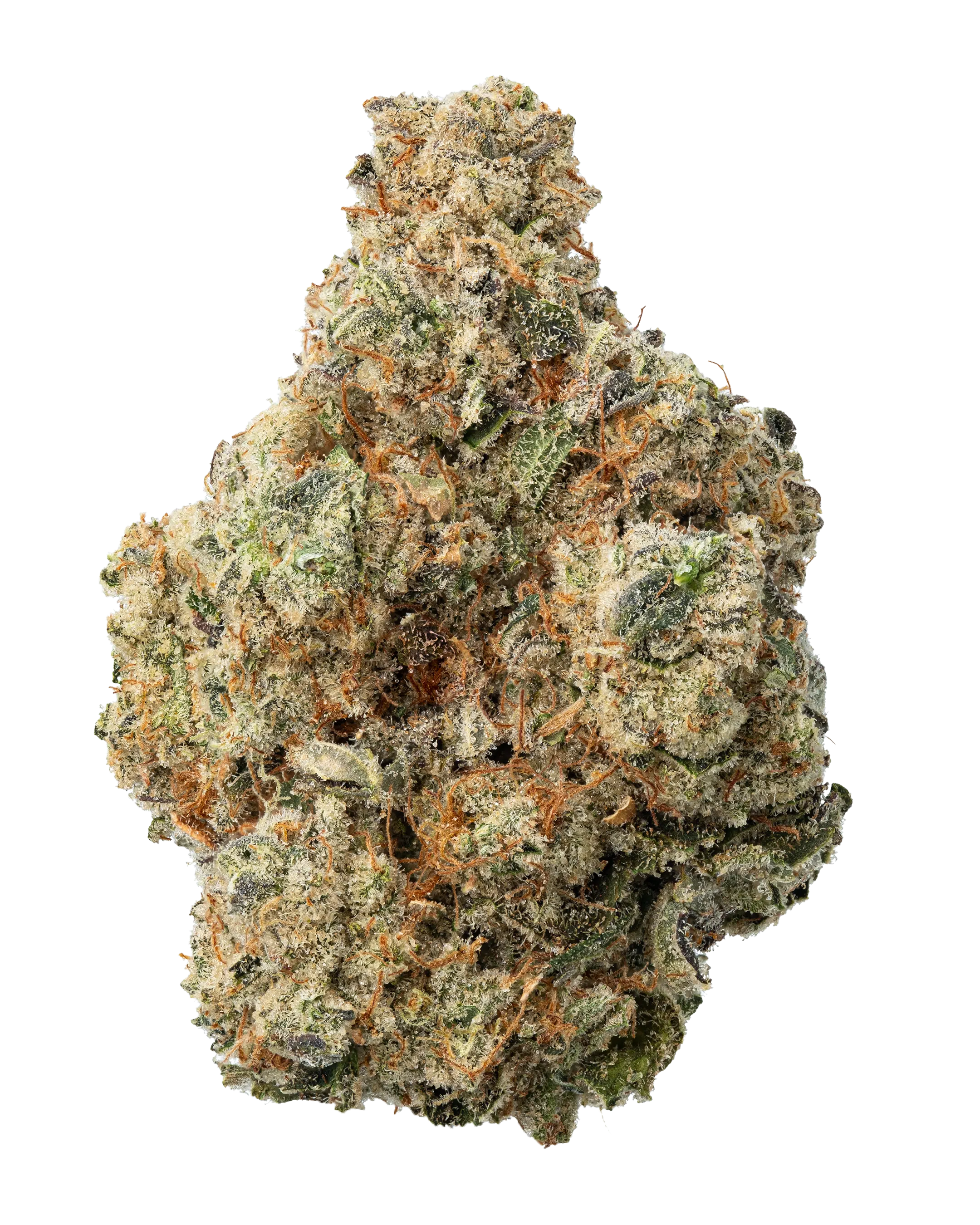 Photograph of product: Flower | Animal Face x Kush Mintz - 3.5g