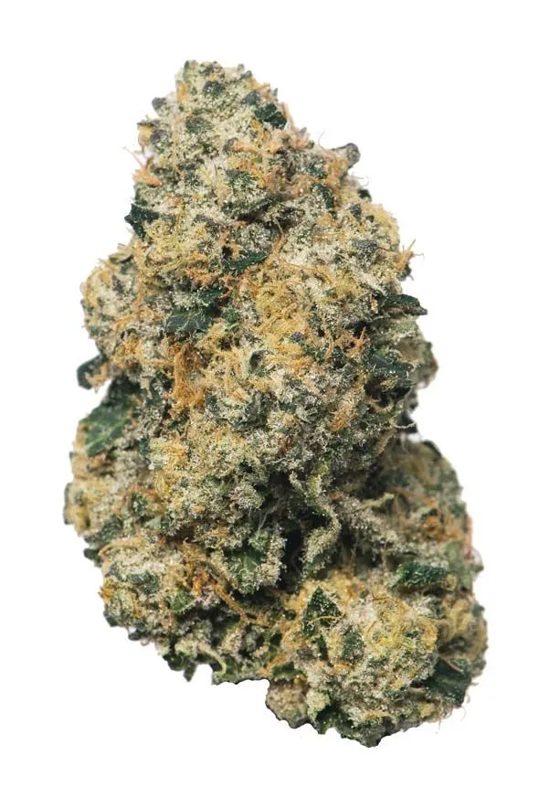 Photograph of product: PROPER 28G SHERBANGER 22